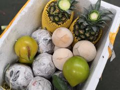 -鸿港海鲜批发市场