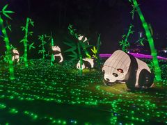 -广西壮族自治区药用植物园