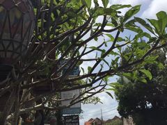 -乌布德传统市场