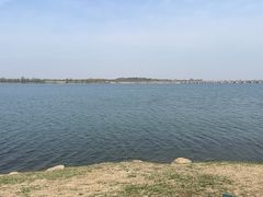 -丁香湖公园