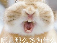 -1点点(晒布店)