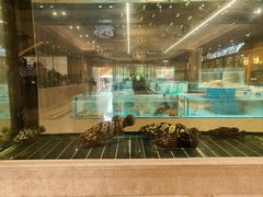 -金唐宫(淮河文化广场店)