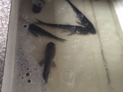 -天目湖刘老四农庄