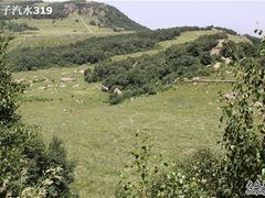 -白草畔自然风景区