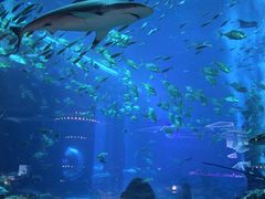 -亚特兰蒂斯•OSSIANO奥西亚诺海底餐厅