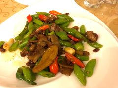 -金孔雀温泉旅游度假村