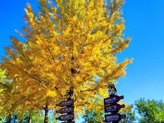 -北京张裕爱斐堡酒庄