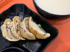 锅贴-宁波工程学院食堂(东校区)