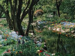 -上海共青森林公园