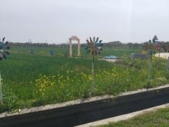 -嘉北郊野公园