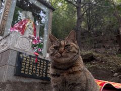 -红螺寺