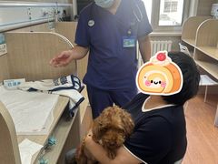 -北京观赏动物医院·24小时大型综合·猫专科·异宠专科