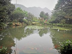 -中国茶叶博物馆(双峰馆区)