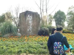 -白鹭湾湿地公园