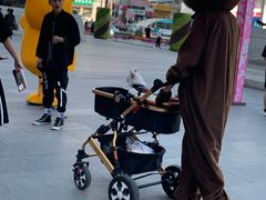 -藏猫猫咖啡主题馆(中央大道店)