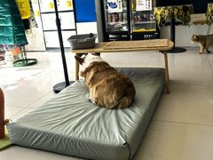 -平行世界·猫咖(首经贸店)