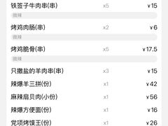 -红柳枝滩羊烧烤·非遗