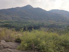 -白马涧龙池景区
