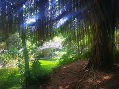 -小洲村
