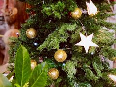 -懒鱼时光馆(沙坪坝店)