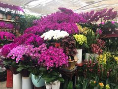 -秦美花卉(天朗·莱茵小城2期店)