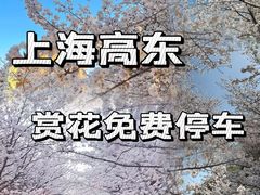 -高东镇樱花园