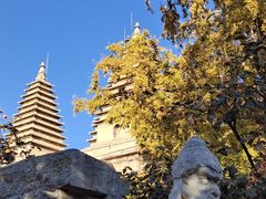 -北京石刻艺术博物馆(五塔寺)