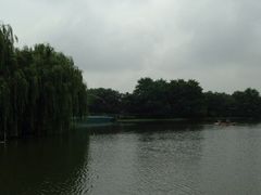 iphone_upload_pic-白塘生态植物园