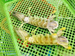 -拉威海鲜市场