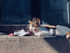 -状元楼(东大街店)