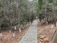 -游子山休闲旅游区