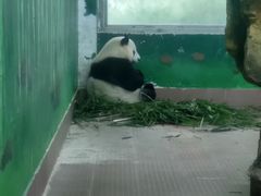 -深圳野生动物园