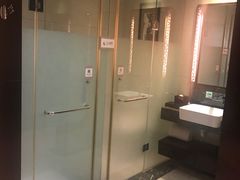 -河源万绿湖美思威尔顿酒店
