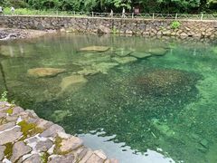 -白云源风景区