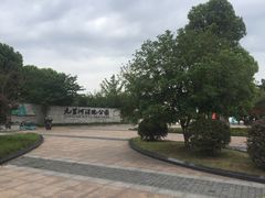 -九里河湿地公园