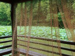 -兰亭风景区
