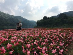 -广州市石门国家森林公园