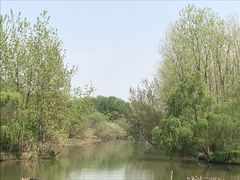 -溱湖国家湿地公园