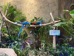 -杭州开元森泊度假乐园