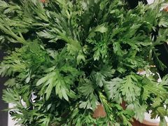 -蜀九香火锅(彩虹店)