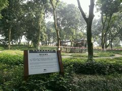 -张坝桂圆林公园