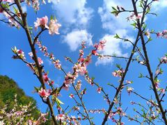 -贵阳市花溪国家城市湿地公园