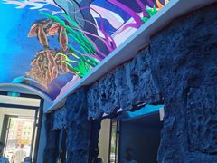 -大自然花鸟鱼虫市场