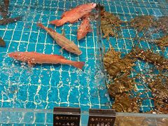 -新丁香海鲜酒店(银海商贸城店)