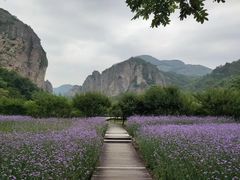 -雁荡山风景名胜区
