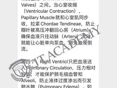 -JT PREP国际学科课程·IB·AP·Alevel(陆家嘴校区)