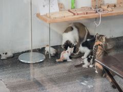 -五月木作·DIY木作文创体验店(北京路店)