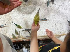 -上海昆虫博物馆