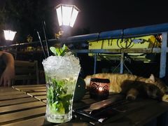 -Sirena海妖日咖夜酒