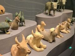 -广西壮族自治区博物馆